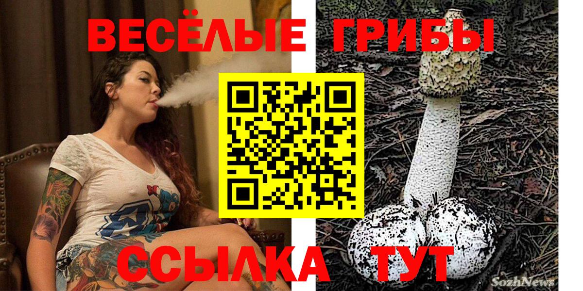 Галлюциногенные грибы Magic Shrooms  Галлюциногенные грибы Psilocybe  закладки  Вход с VPN  Тверь 